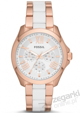 ZEGAREK FOSSIL AM4546