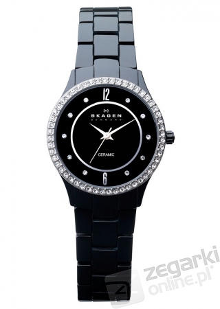 ZEGAREK SKAGEN 347SBXBC