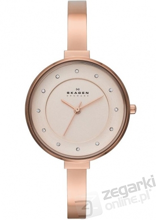 ZEGAREK SKAGEN SKW2230