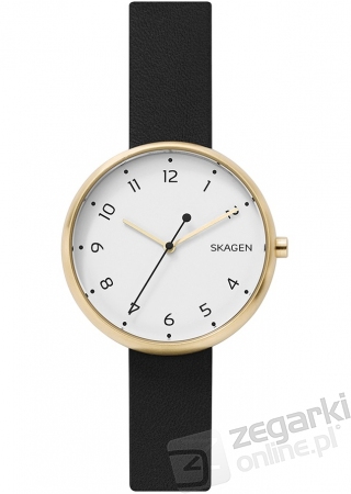 ZEGAREK SKAGEN SIGNATUR SKW2626