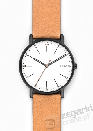 ZEGAREK SKAGEN SIGNATUR SKW6352