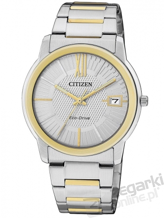 ZEGAREK CITIZEN LADY FE6014-59A