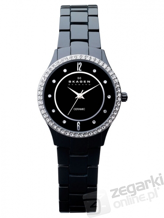 ZEGAREK SKAGEN 347SBXBC