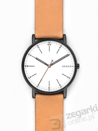 ZEGAREK SKAGEN SIGNATUR SKW6352