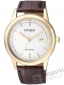 ZEGAREK CITIZEN AW1233-01A